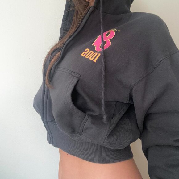 Bratz Grey and pink Hoodie cropped zip-up - Picture 4 of 8